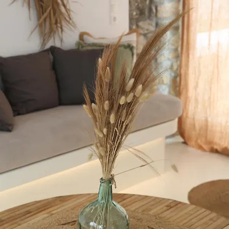 Aderfia With Private Hot Tub אורנוס