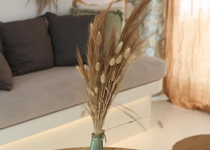 Aderfia With Private Hot Tub 오르노스